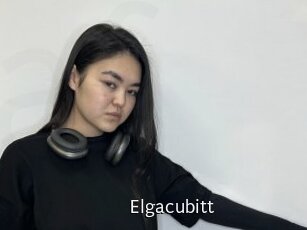 Elgacubitt