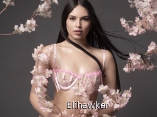Elihawker