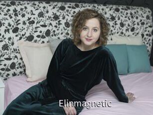 Elinmagnetic