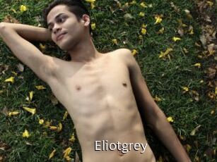 Eliotgrey