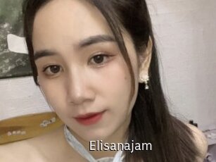 Elisanajam