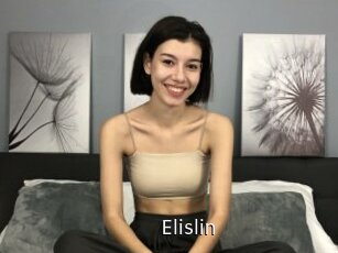 Elislin