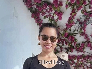 Ellisville23