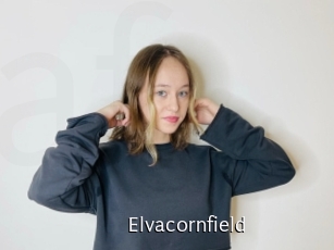 Elvacornfield