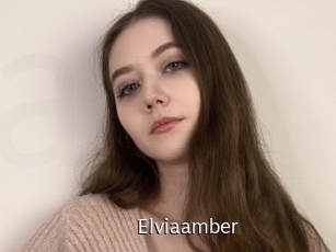 Elviaamber