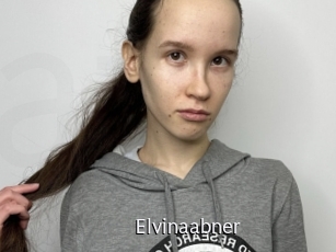 Elvinaabner