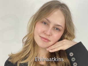 Elvinaatkins