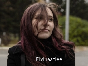 Elvinaatlee
