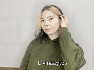Elvinaaytes
