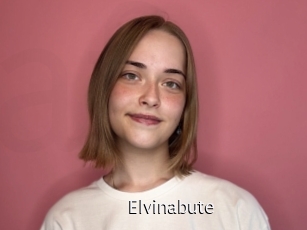 Elvinabute