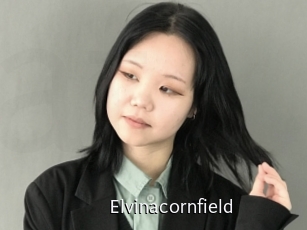 Elvinacornfield