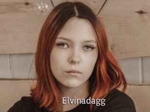 Elvinadagg