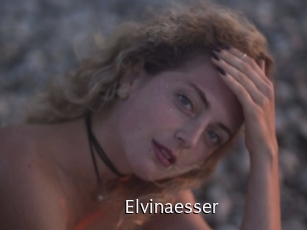 Elvinaesser