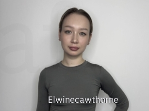 elwinecawthorne Anal Fist