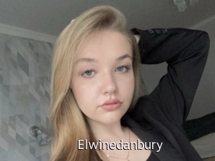 Elwinedanbury
