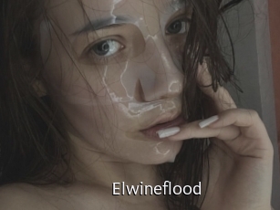 elwineflood Anal Fist