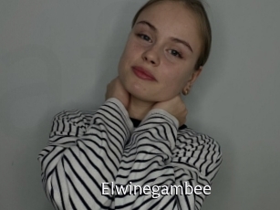 Elwinegambee
