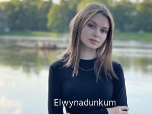 Elwynadunkum