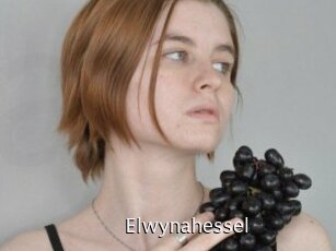 Elwynahessel