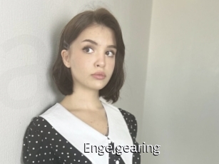Engelgearing
