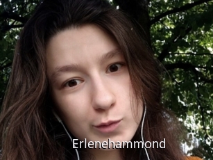 Erlenehammond