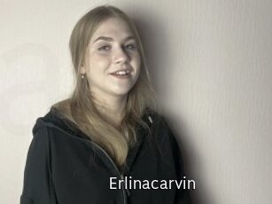 erlinacarvin Anal Fist