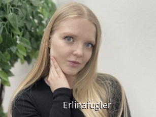 Erlinafugler