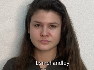 Esmehandley