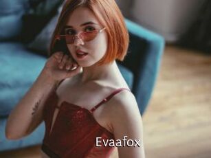 Evaafox