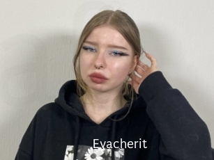 Evacherit