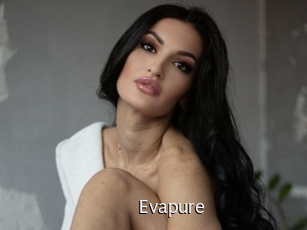 Evapure