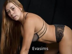 Evasims