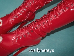 Evellynereys