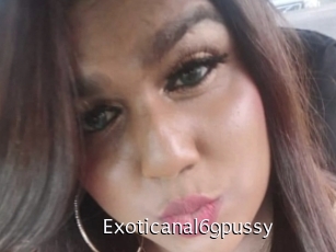 Exoticanal69pussy