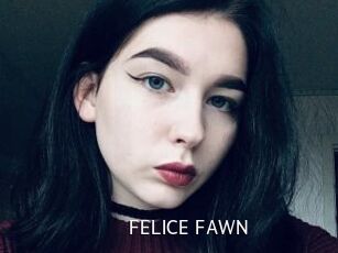 FELICE_FAWN