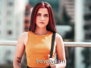 FelicityBarn