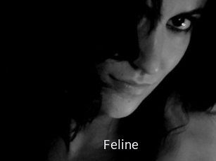 Feline