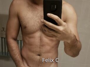 Felix_C Anal Fist
