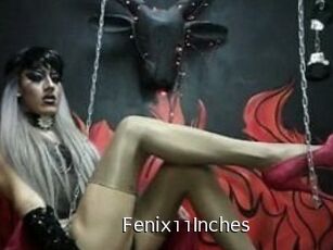 Fenix11Inches