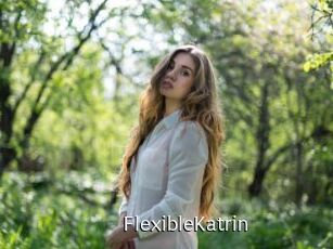 FlexibleKatrin