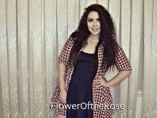 FlowerOftheRose