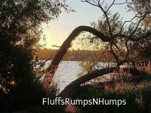 FluffsRumpsNHumps Anal Fist