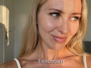 Felicecam