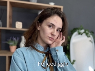 Felicediggle