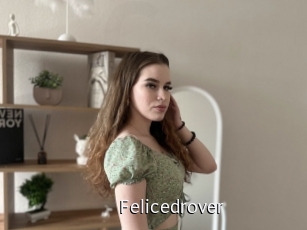 Felicedrover