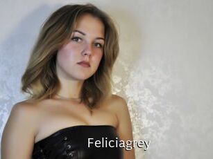 Feliciagrey