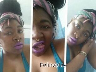 Felineplay