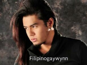 Filipinogaywynn