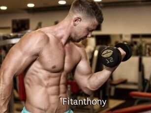 Fitanthony