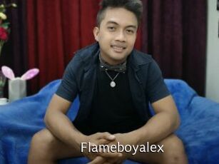 flameboyalex Anal Fist